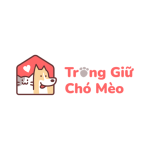 Giới thiệu 19 Trông giữ chó mèo HCM